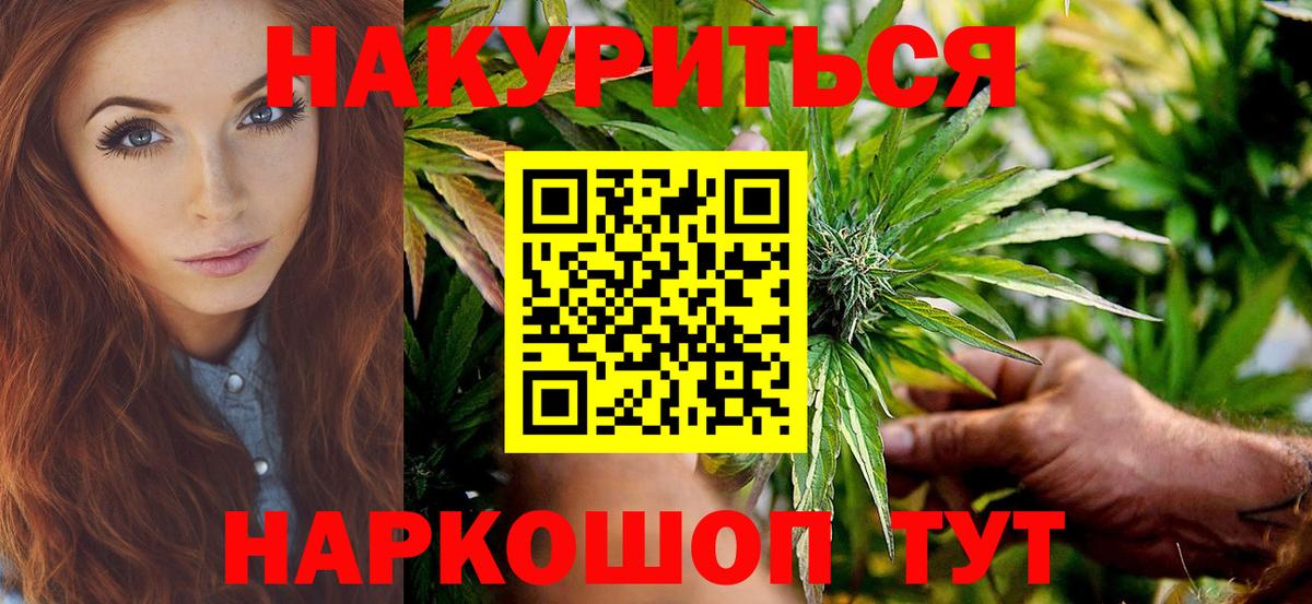 Бошки Шишки планчик Орёл